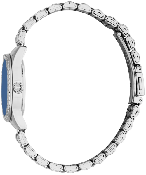  Just Cavalli JC1L360M0045_SET #3