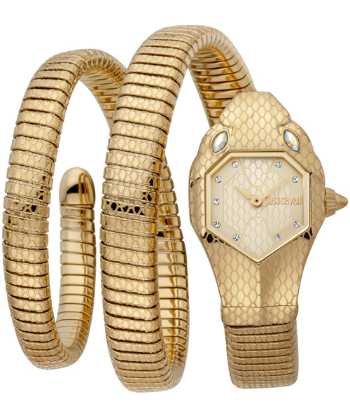  Just Cavalli JC1L168M0035 #1