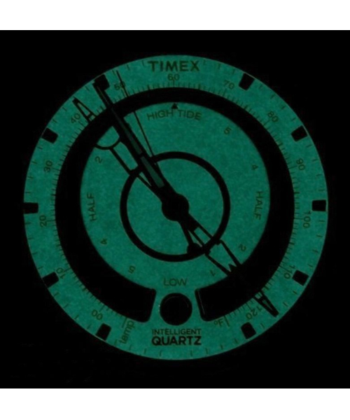  Timex T2N720 #5