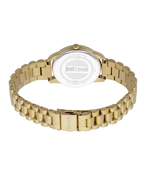 ���� Just Cavalli JC1L176M0055_SET #2