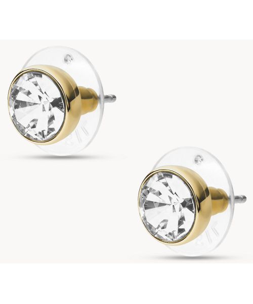  Fossil JOA00668710 #1