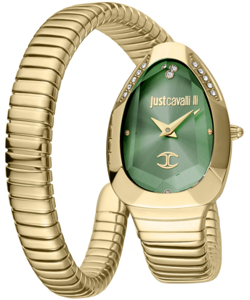  Just Cavalli JC1L208M0045 #1