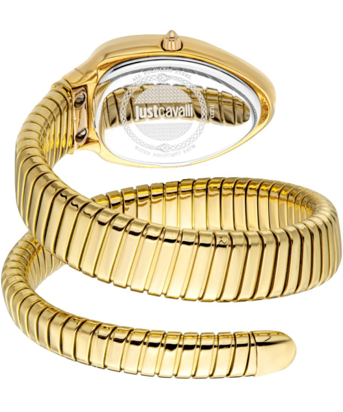 ���� Just Cavalli JC1L223M0025 #3
