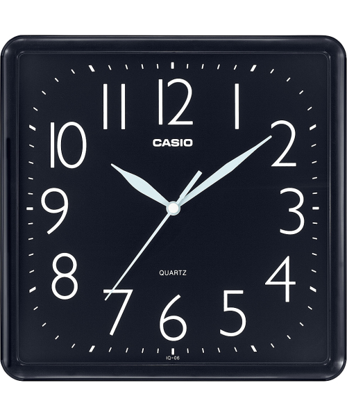 ��������� ���� �. Casio IQ-06-1 #1