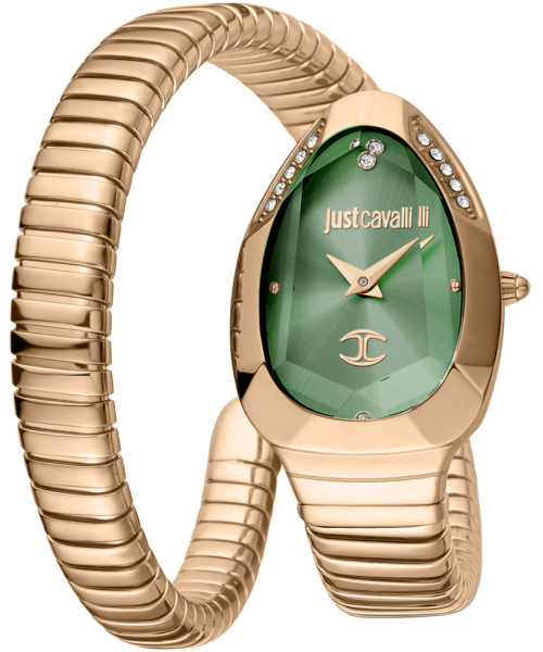  Just Cavalli JC1L208M0055 #1