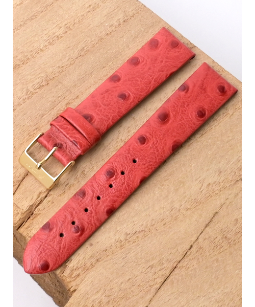 �. Stailer 1376-1802 #1