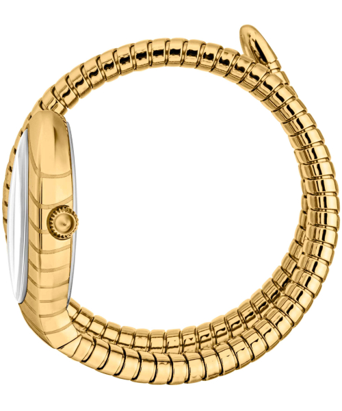  Just Cavalli JC1L247M0025 #3