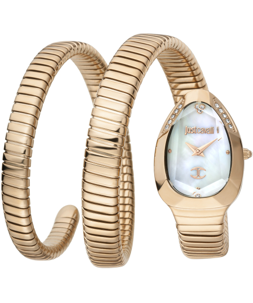  Just Cavalli JC1L209M0055 #1