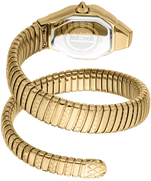  Just Cavalli JC1L369M0035 #3