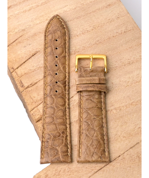 ������� ��� ����� Nagata N-2412 #3