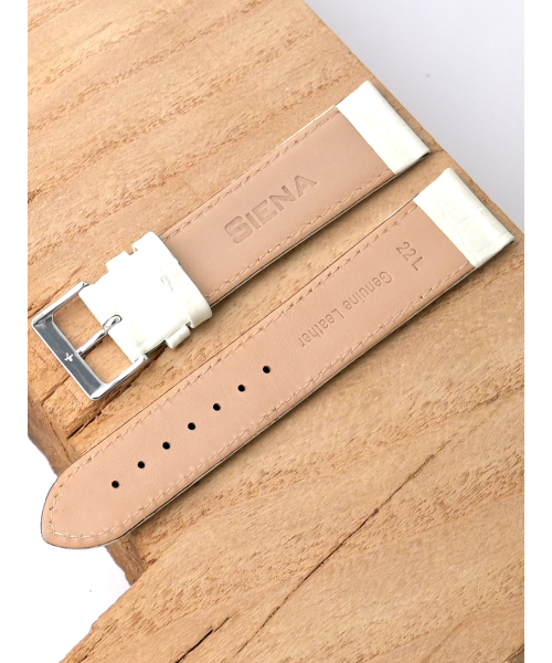 �. Siena 610-2211 #2