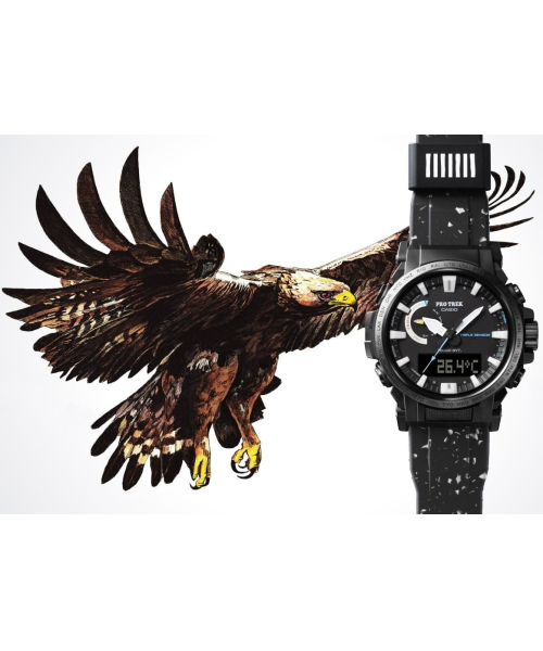  Casio Pro Trek PRW-61NJ-1 #2