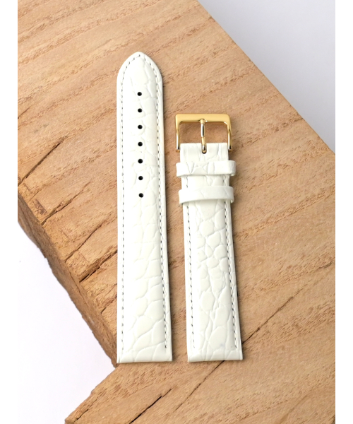 �. Siena 620-2012 #3