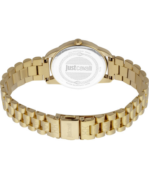  Just Cavalli JC1L176M0065_SET #2