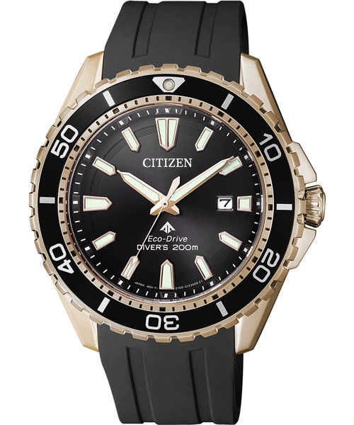  Citizen BN0193-17E #1