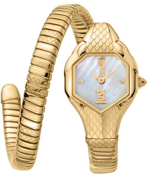���� Just Cavalli JC1L190M0035 #1