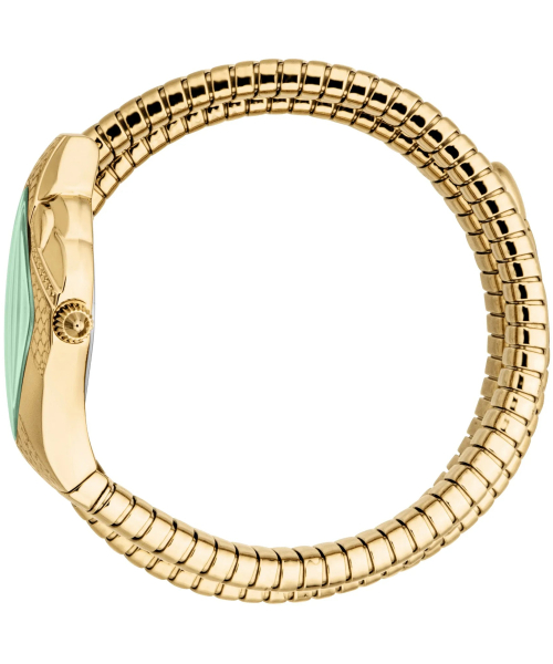  Just Cavalli JC1L307M0035 #2