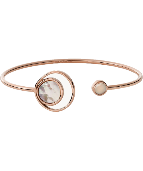 ������� Skagen SKJ1498791 #1