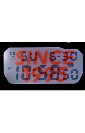 Casio G-Shock DW-6900TR-4