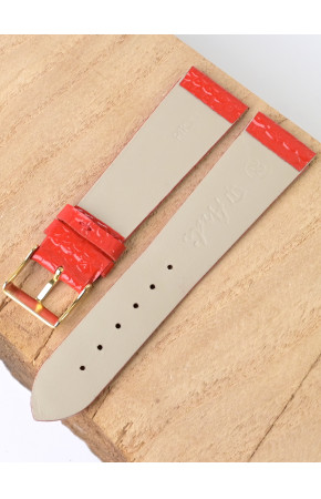 Ardi  22-03-02-1-6 PITON