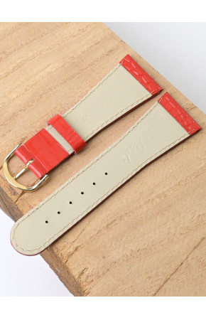 Ardi  28-02-02-1-6 ANAKONDA