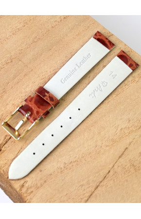 Ardi  14-03-02-1-2 PANDORA