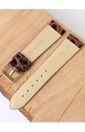 Ardi  22-03-02-1-2 PANDORA