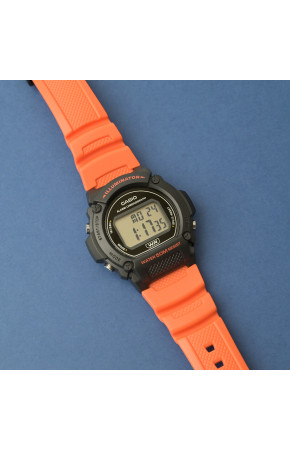 Casio W-219H-4A