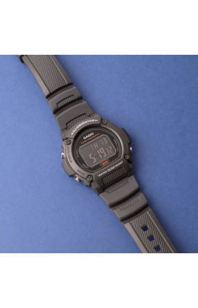 Casio W-219H-8B