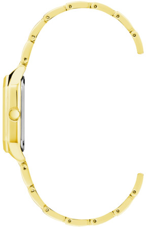 Anne Klein 3774CHGB