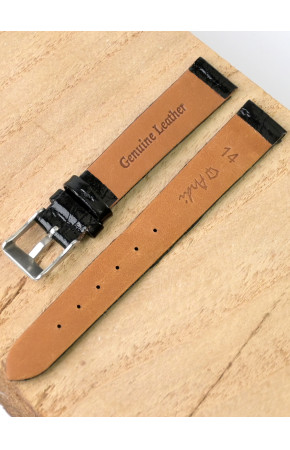 Ardi  14-03-01-1-1 PANDORA