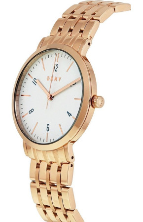 DKNY NY2504