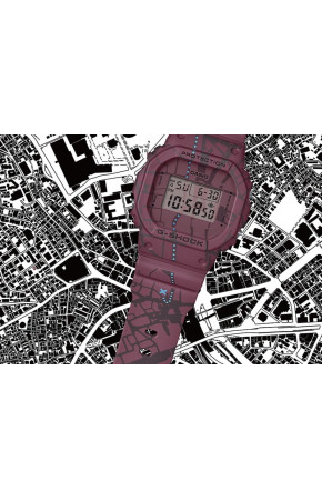 Casio G-Shock DW-5600SBY-4