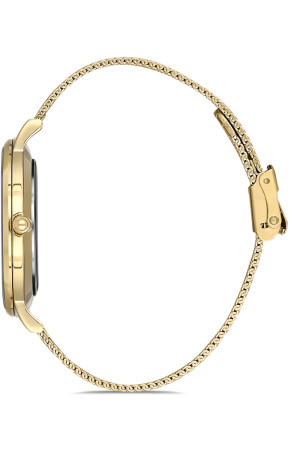 Bigotti BG.1.10244-1