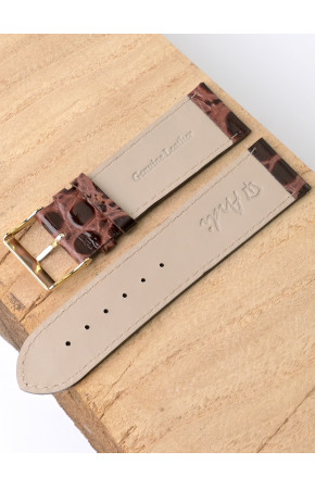 Ardi  24-02-02-1-2 PANDORA