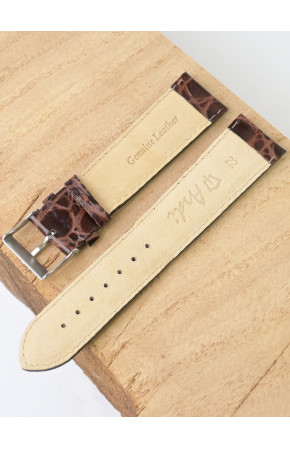 Ardi  22-07-01-1-2  PANDORA